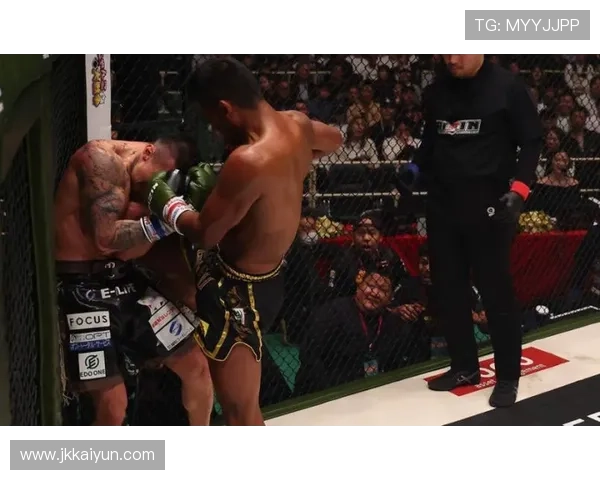 2026年播求最新比赛高清回顾与精彩瞬间